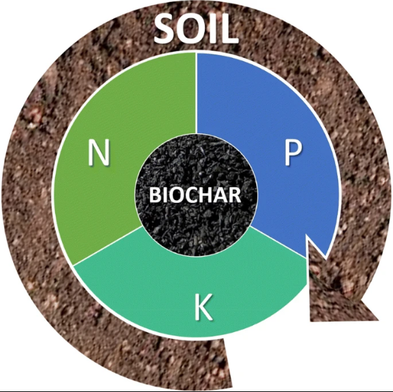 Biochar For Sustainable Agriculture